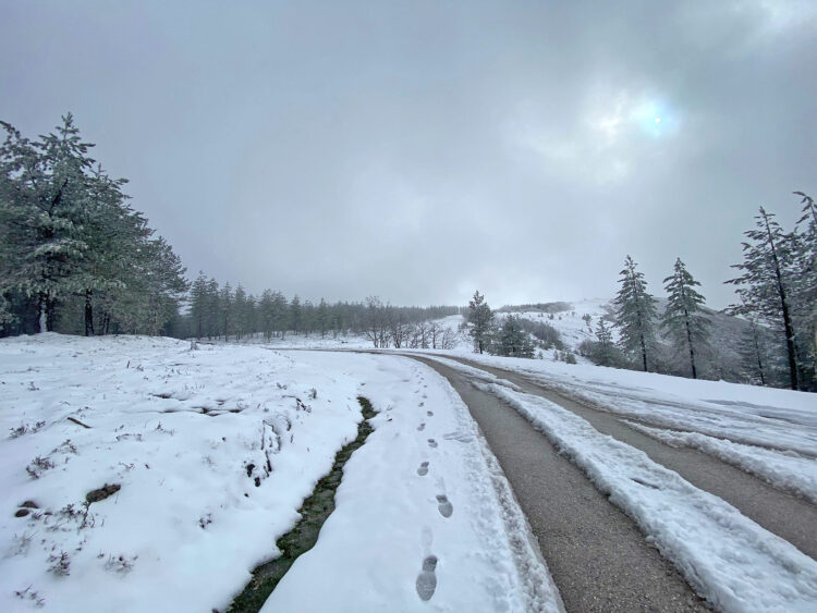 Ponto mais alto do distrito de Leiria, em plena Serra da Lousã, acordou sob um manto branco de neve