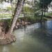 Identificados 44 locais críticos no Plano de Reabilitação de Linhas de Água de Leiria