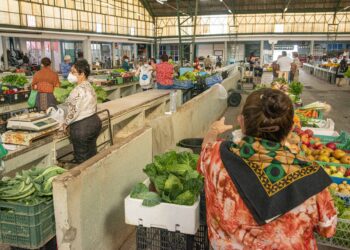 Moda, feiras e concertos para dar mais vida ao mercado