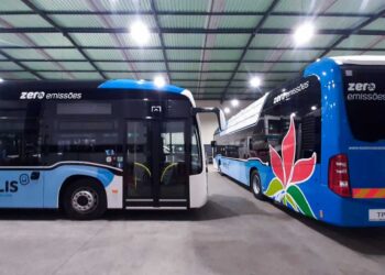 Região de Leiria investiu mais de 3 ME  no serviço público de transportes