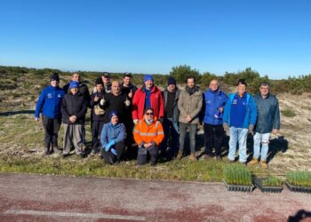 Núcleo de Desportos Motorizados plantou 1200 árvores para compensar pegada carbónica do Verde Pino