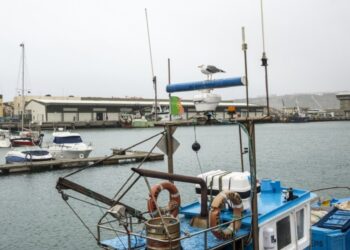Corpo de tripulante estrangeiro encontrado a flutuar no porto da Nazaré