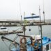 Corpo de tripulante estrangeiro encontrado a flutuar no porto da Nazaré