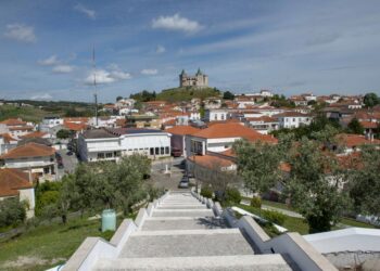 Porto de Mós adere a centro de arbitragem para litígios no sector automóvel