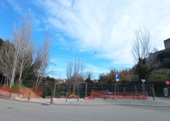 Alunos da Domingos Sequeira reclamam contra abate de árvores, autarquia responde que é reabilitação paisagística