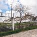 Ministério da Justiça admite ceder casas do bairro da prisão de Leiria à câmara