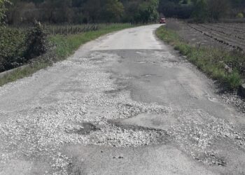 Vereadores da oposição exigem obras urgentes na estrada dos Campos do Lis