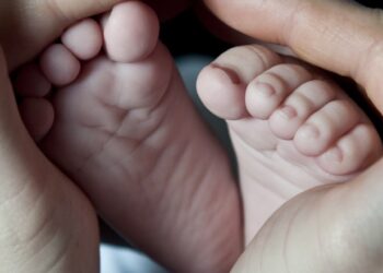 Ourém atribuiu 1,3 milhões de euros de apoios à natalidade e à infância