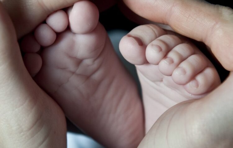 Ourém atribuiu 1,3 milhões de euros de apoios à natalidade e à infância