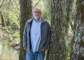 Paulo Lucas: “Precisamos de investir na floresta o volume de dinheiro usado para salvar bancos falidos”