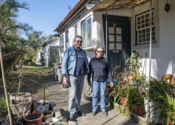 Moradores de Pedreanes são raízes vivas do pinhal de outrora