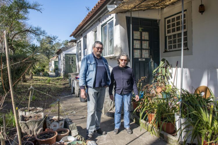 Moradores de Pedreanes são raízes vivas do pinhal de outrora