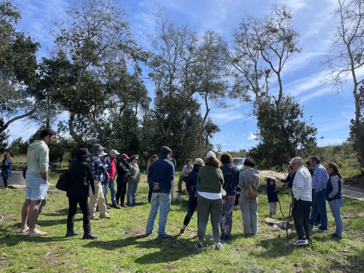 Mais de 50 pessoas descobriram recantos do pinhal das Pedras Negras num passeio interpretativo