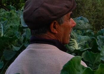 Filme que realizador de Leiria levou à Berlinale estreia nas salas de cinema