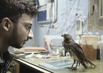Hádoc. Próxima sessão traz o primeiro documentário premiado em Cannes e no festival Sundance