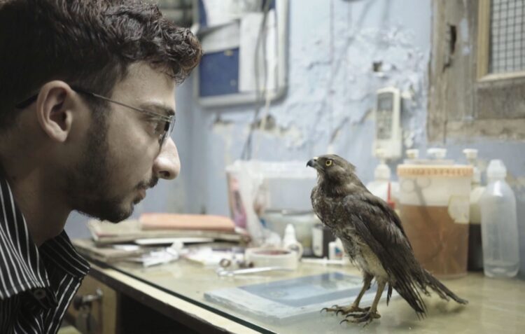 Hádoc. Próxima sessão traz o primeiro documentário premiado em Cannes e no festival Sundance