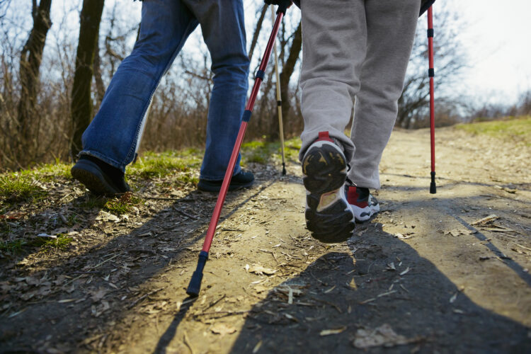 Caminhada de Acção Cívica e Sensibilização Ambiental para salvar o Pinhal do Rei