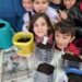 Já germinaram as árvores das eco-escolas de Leiria que participaram na iniciativa “Eu Sou Autóctone”