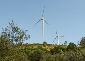 População de Fanhais mobiliza-se contra projecto de hidrogénio verde na Nazaré