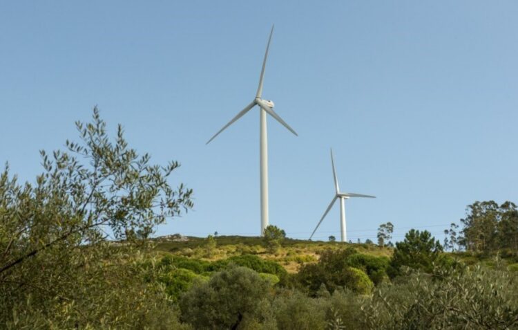 População de Fanhais mobiliza-se contra projecto de hidrogénio verde na Nazaré