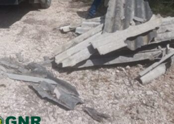 GNR identifica em flagrante homem que estava a abandonar resíduos urbanos em mancha florestal