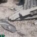 GNR identifica em flagrante homem que estava a abandonar resíduos urbanos em mancha florestal