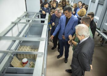 Prisão de Leiria inaugura primeira  unidade de produção de grilos do País
