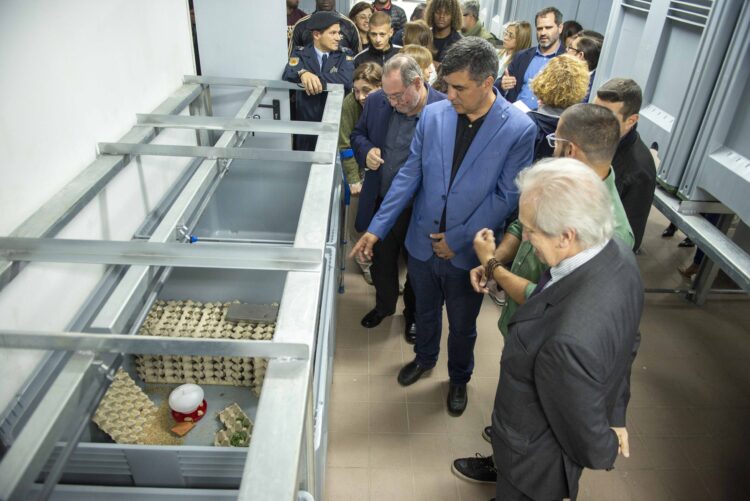 Prisão de Leiria inaugura primeira unidade de produção de grilos do País