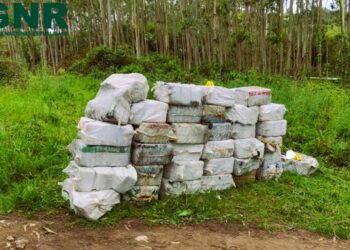 Mais de 1,2 toneladas de cocaína apreendidas em Óbidos