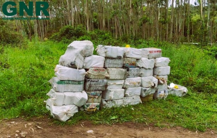 Mais de 1,2 toneladas de cocaína apreendidas em Óbidos
