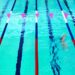 Nadadores de Leiria e Marinha Grande conquistaram títulos no Campeonato Nacional de Juvenis e Absolutos