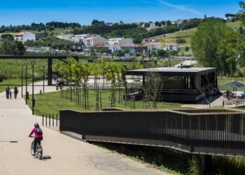 Jovens discutem hoje associativismo no Parque Verde de Alcobaça