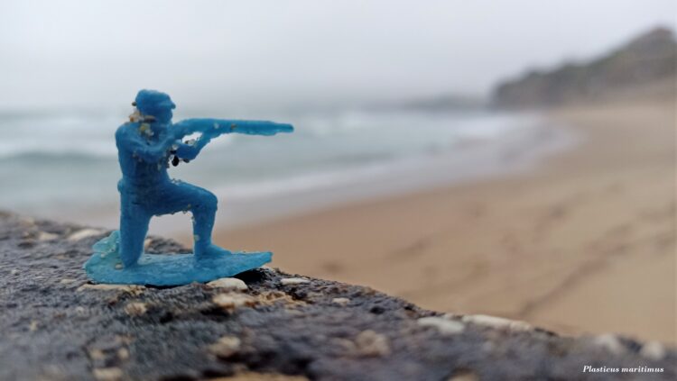 “Circular à volta dos plásticos”: Politécnico de Leiria debate poluição do mar e invasão de plástico nas praias