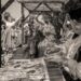 “Leiria Há 100 Anos” vai ocupar o centro histórico durante dois dias