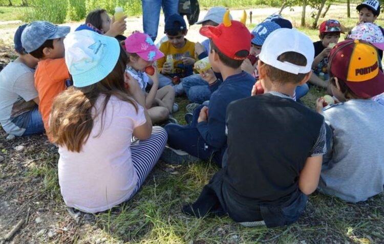 Câmara de Alcobaça previne obesidade infantil com projecto “”Estou na Linha”