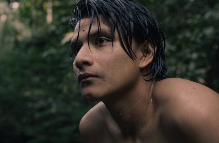 Hádoc. O Território mostra como a Amazónia acende o rastilho do conflito entre dois modos de vida