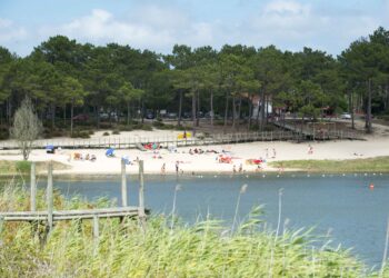 População desafiada a participar em acção de limpeza na Mata do Urso e na Lagoa da Ervedeira