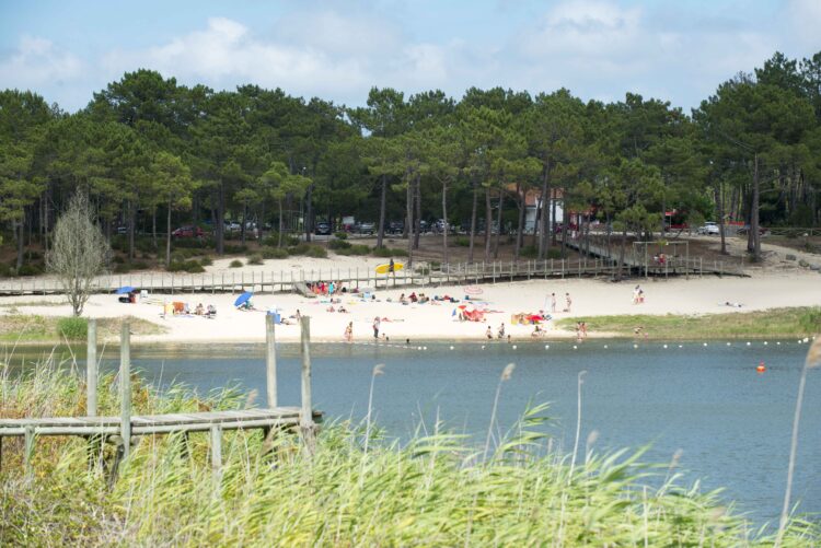 População desafiada a participar em acção de limpeza na Mata do Urso e na Lagoa da Ervedeira