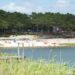 População desafiada a participar em acção de limpeza na Mata do Urso e na Lagoa da Ervedeira