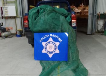 Polícia Marítima da Nazaré apreendeu meixão capturado ilegalmente na foz do Rio Lis