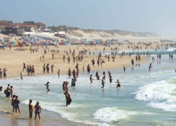 Colaboradores da Merkle limpam Praia da Vieira