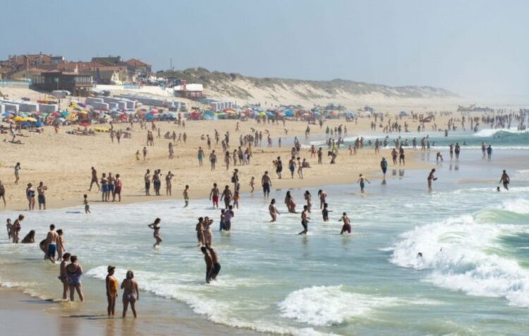 Colaboradores da Merkle limpam Praia da Vieira