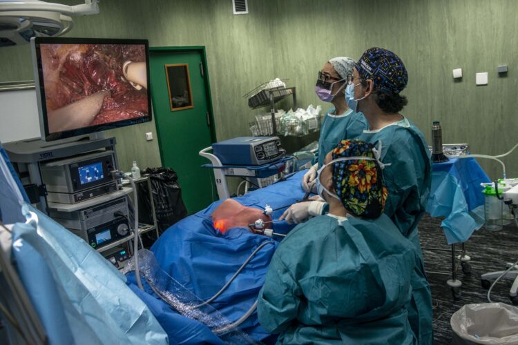Hospital de Leiria lidera cirurgia endoscópica da tiróide no SNS