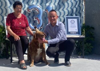 Convidados de todo o mundo na festa do cão mais velho do mundo, em Leiria