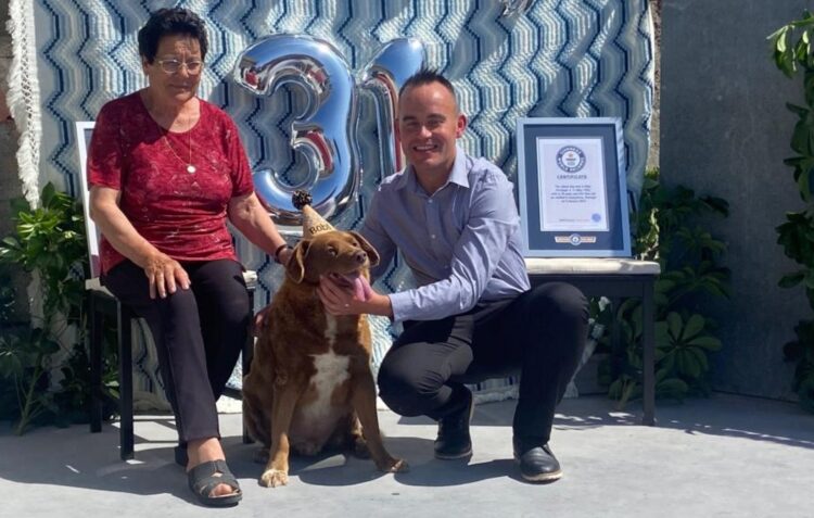 Convidados de todo o mundo na festa do cão mais velho do mundo, em Leiria