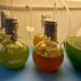 Politécnico de Leiria promove segundo curso de cultivo e utilização de microalgas