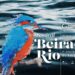 Beira Rio. Festival junta 800 alunos e estreia um musical sobre os oceanos