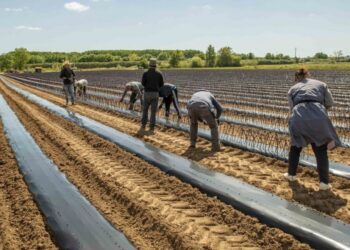 Direcção da União dos Agricultores do Distrito de Leiria demitiu-se