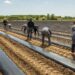 Direcção da União dos Agricultores do Distrito de Leiria demitiu-se