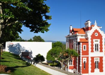 Museu e Centro de Artes de Figueiró dos Vinhos celebra dez anos com peças únicas do naturalismo